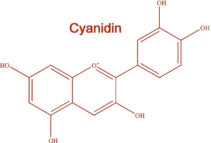 Cyanadin